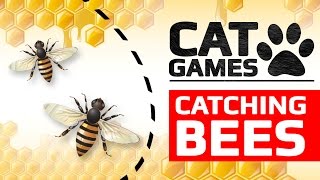 CAT GAMES  🐝 CATCHING BEES ENTERTAINMENT VIDEOS FOR CATS TO WATCH [upl. by Doomham]