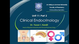 20 Clinical Endocrinology Part 2 by Dr Yasser Kandil [upl. by Lenna196]