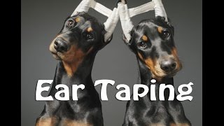 Ear Taping [upl. by Love]