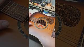 Norman B18 Protégé Acoustic Guitar with high string action guitarpickup [upl. by Peppel748]