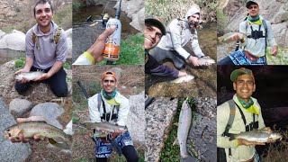 Truchas Arcoiris en Huaco La Rioja Piques en vivo con equipos de Pesca Ultra livianos [upl. by Swetlana]