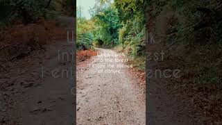 Enjoy the Silence  Corfus Nature Walking explorecorfu corfu travel [upl. by Garett]