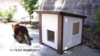 the Albany Outdoor and Feral Cat House by New Age Pet [upl. by Jaycee]