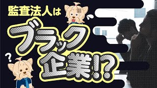 監査法人はブラック企業！？真実を全て話しました【公認会計士】 [upl. by Cedar]