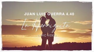 Juan Luis Guerra 440  La Hormiguita Lyric Video [upl. by Richter7]