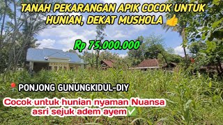 TANAH TEGAL APIK COCOK UNTUK HUNIAN 👍 dijual shm p 496m² [upl. by Nauqan]