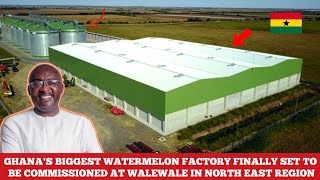 GHANAS BIGGEST WATERMELON FACTORY IN WALEWALE FINALLY SET TO BE COMMISSIONED [upl. by Saxena]