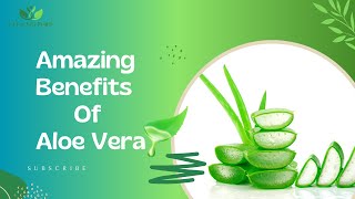 Benefits Of Aloe Vera Gel  Amazing uses of aloe vera gel for Skin Hairs amp Health [upl. by Intruok]