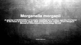 Medical vocabulary What does Morganella morganii mean [upl. by Nicholl]