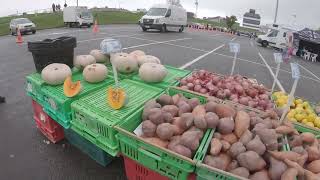 Riverbank Market Lower Hutt  Fresh fruit and Veges  Saturday Market NewZealand  Wellington Market [upl. by Dietz]