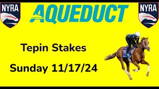 Aqueduct Sunday 111724 Selections  All Races [upl. by Nauqes]