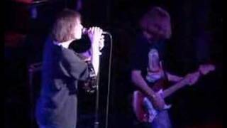 Gin Blossoms  What Live in Chicago [upl. by Nolrev]