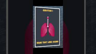 Name that lung sound medicaleducation respiratorymedicine lungsounds auscultation medical quiz [upl. by Acceb]