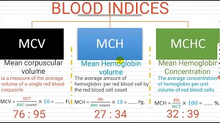 hematology hematocrit  MCV  MCH  MCHC  blood count  White blood cell differential [upl. by Edac]