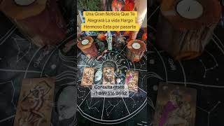 Tarot Lectura De Hoy tarot tarotreader tarotreading tarotonline tarotscope tarotamor shorts [upl. by Zetra616]