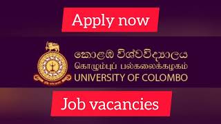 University Of Colombo  Office Assistant job vacancies 2024 jobvacancy govermentjobs [upl. by Fletch]