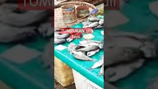 The cheapest market in TOWN viralvideo foodmarket seafood shortvideo viralvideo minivlog [upl. by Nodnyl910]