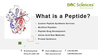 What is a Peptide  Peptides  Amino Acids  Peptide Synthesis  BOC Sciences [upl. by Najtsirk]