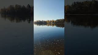 Höst fiske 🎣 15 men solen värmer höst fiske fishing norrland [upl. by Xilef]