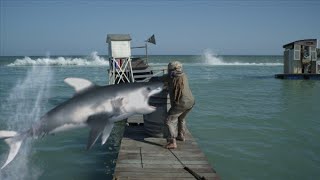 Huge Great White Shark Consumes 5 in 1975  Amity Island Cluster [upl. by Lewis]