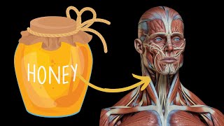 What Happens to Your Body When You Start Eating Honey Every Day  Incredible Benefits of Honey [upl. by Landan590]