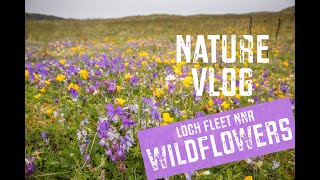 Wildflowers at Loch Fleet NNR [upl. by Kellyn]