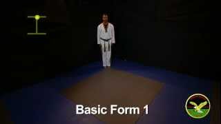 Basic Form 1  Taekwondo [upl. by Natsrik]