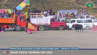 GRAN FIESTA TAURINA UNI  2024 [upl. by Eiramanna]