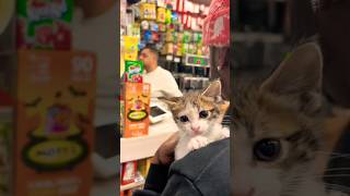 I took the cat from the bodega 🐈 catdistributionsystem [upl. by Arem747]