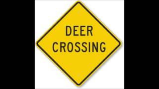 Funny Radio Caller  Deer Crossing [upl. by Eelirol]