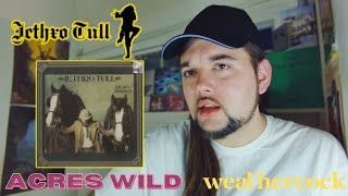 Drummer reacts to quotAcres Wildquot amp quotWeathercockquot by Jethro Tull [upl. by Karoly639]