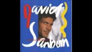 David Sanborn  quotImogenequot [upl. by Eednyl453]