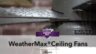 WeatherMax® Ceiling Fans by Hunter [upl. by Utham]