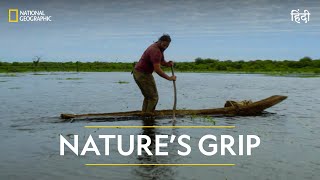 Nature’s Grip  Primal Survivor  Full Episode  S1  E2  National Geographic [upl. by Vida]