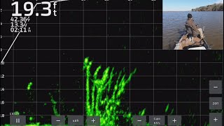 Crappie Fishing with LiveScope Plus FullScreen LiveScope Throughout Lake Darbonne  Trip 4 [upl. by Synn]