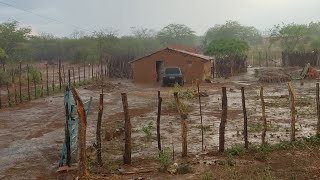 CHUVA NO SERTÃO NORDESTINO VERDEJANTE PÉ [upl. by Sirmons685]