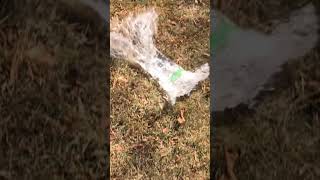 Slow mo vid of ziploc bag exploding idontevenknow [upl. by Cyrie]