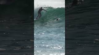 Sydney Surf  Bondi Beach South Break  Spring  Part 5 [upl. by Uohk]