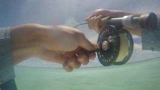 Fishing for Bonefish in Cayo Coco Cuba 2016 [upl. by Hendrickson]