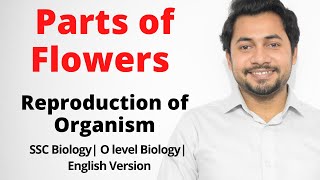 01 Parts of Flowers  Reproduction in Organism  SSC Biology Chapter 11  English Version [upl. by Cathie569]