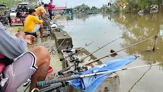 Fishing spot Lakmit minalin pampanga 2 maraming nahuling tilapia 12 kilos lahat [upl. by Ttej]