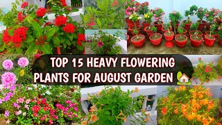 TOP 15 HEAVY FLOWERING PLANTS FOR AUGUST GARDEN  BEST FLOWERING PLANTS FOR AUGUST 🏡🌸 [upl. by Bristow]