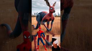 Superheroes but Kangaroo 💥 Marvel amp Dc All Characters marvel avengers shorts spiderman 2024 [upl. by Ungley]