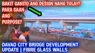 DAVAO CITY UPDATE COASTAL ROAD AND BRIDGE PROJECT DEVELOPMENT  STA ANA WHARF SEGEMENT [upl. by Onaled]