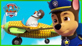 Pups Save a High Flying Chickaletta  PAW Patrol Episode  Cartoons for Kids [upl. by Najram]