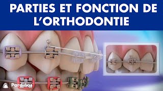 Appareil dentaire – Parties et fonction de l’orthodontie © [upl. by Duma]