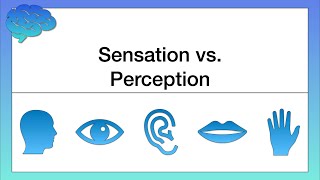 What’s the Difference between Sensation and Perception [upl. by Emmie]