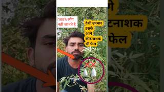 भंग से करें कीट नियंत्रण agriculture farming organicfarmingshortsviral [upl. by Olpe87]