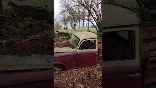 UNE JOLIE FOURGONNETTE PEUGEOT 403 OUBLIÉE urbex [upl. by Azzil]