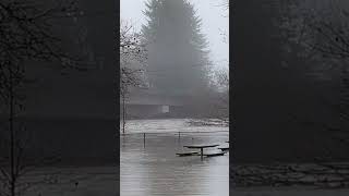 Atmospheric river soaks Pacific Northwest bringing floods mudslides Shorts [upl. by Suckow]